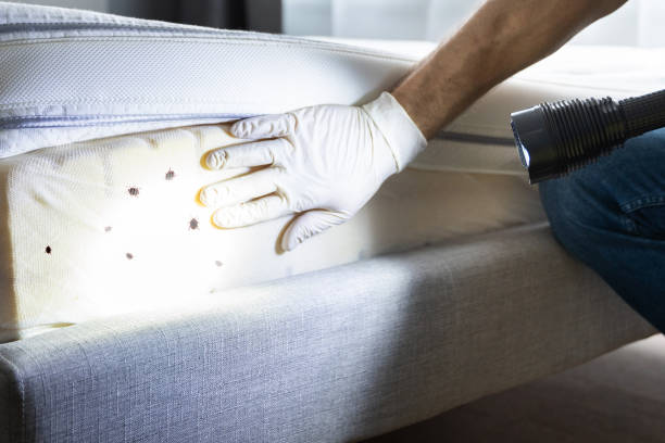 Best Affordable Pest Control Services  in Unicoi, TN