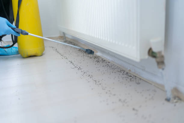 Best Emergency Pest Control  in Unicoi, TN