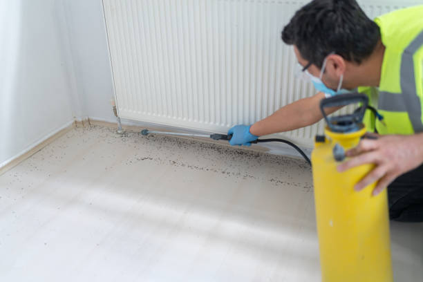Best Mosquito Control Services  in Unicoi, TN