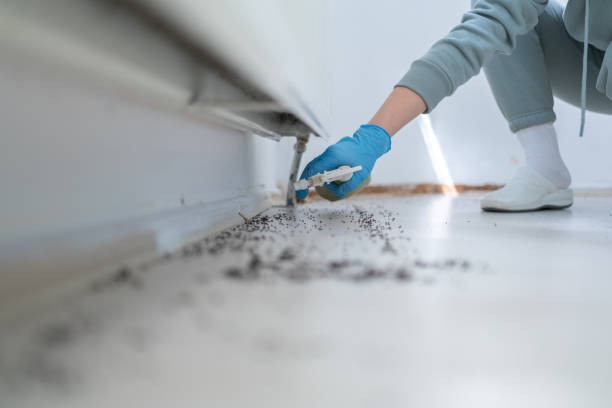 Best Commercial Pest Control Services  in Unicoi, TN